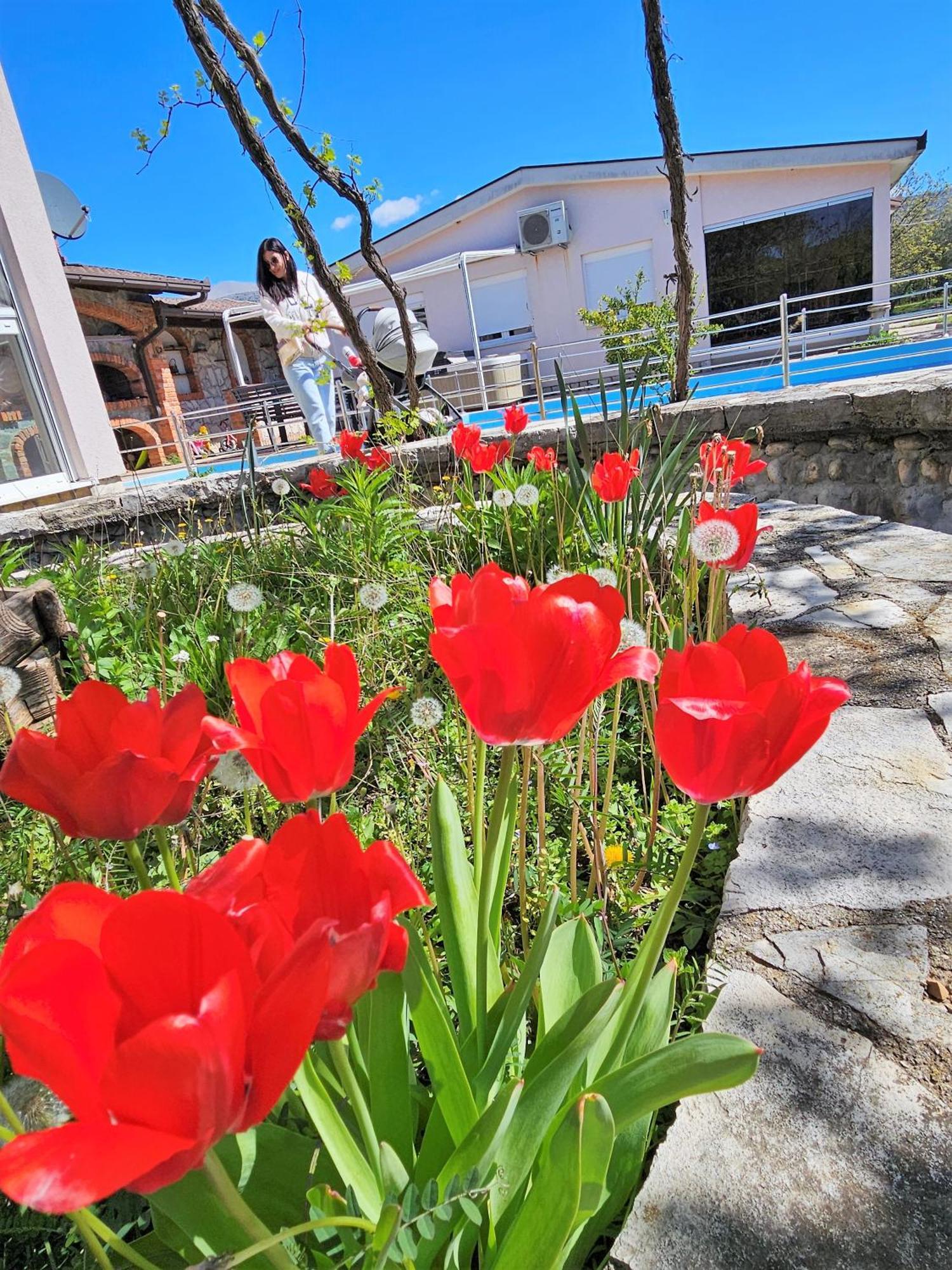 Hacienda Kolenda appartementen Mostar Bagian luar foto