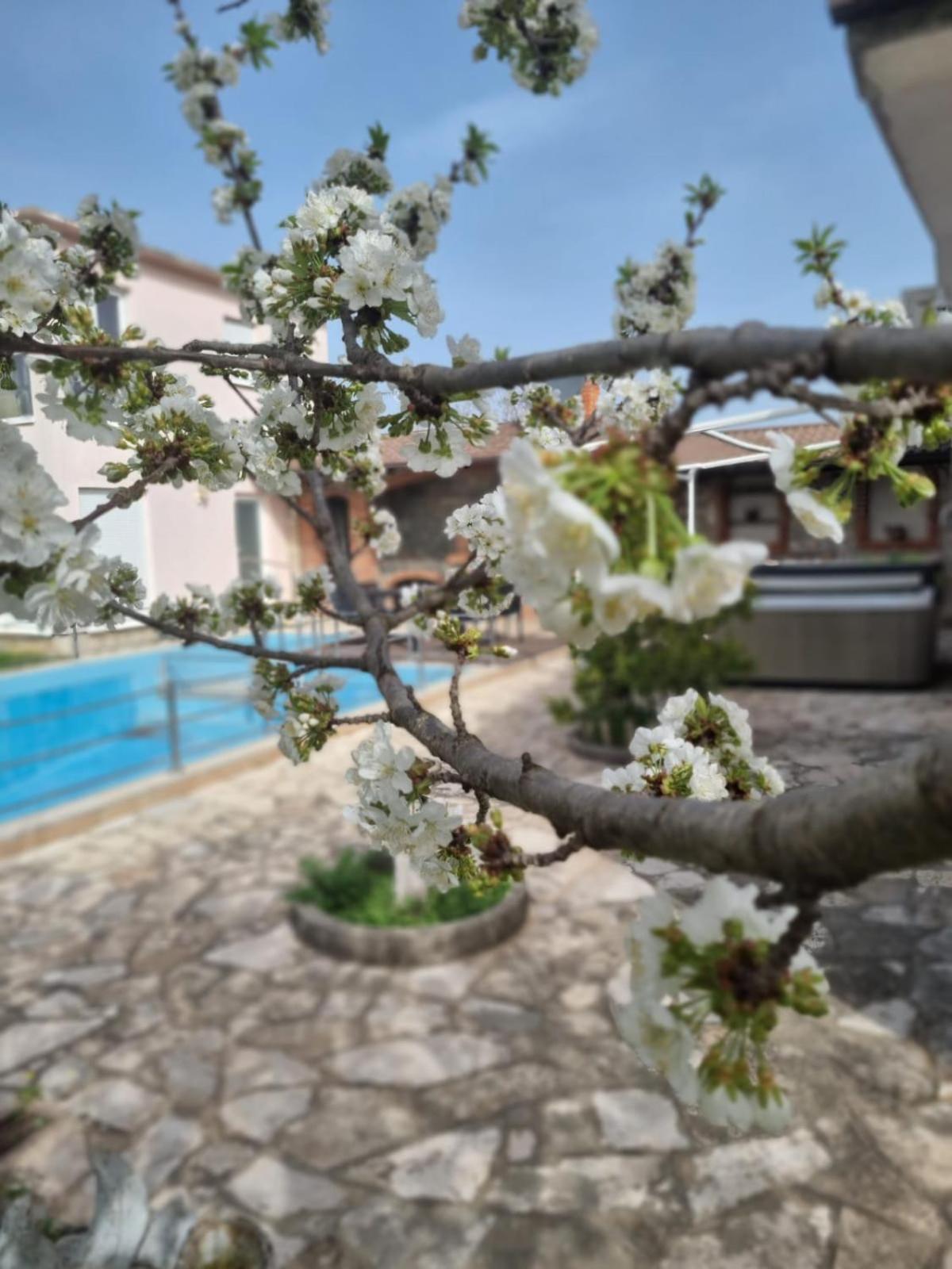 Hacienda Kolenda appartementen Mostar Bagian luar foto
